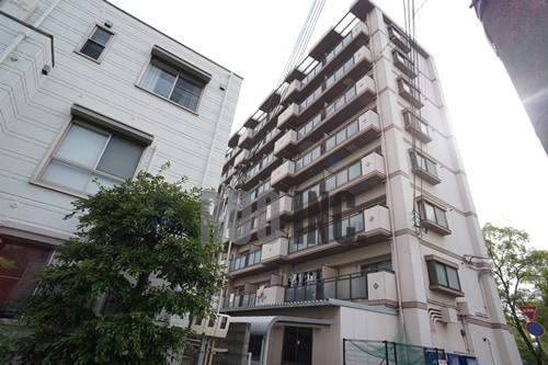  ロッキーコートナカヤ