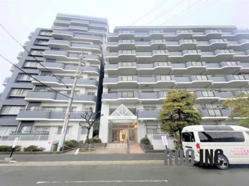  サンパティック的形