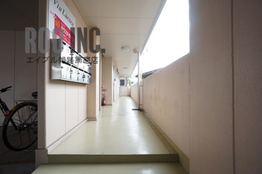  ヴィア・ラクティ（Via Lacty）