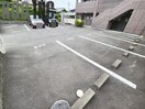  Ｍ．ブロッサム