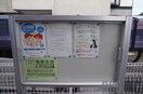  アルバ・ソーレ