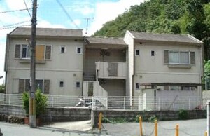 タウニィ山吹