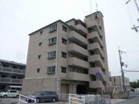 ピュアスプリング和