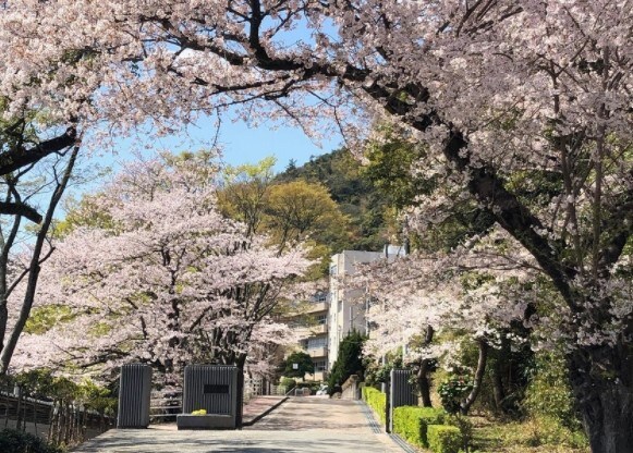 高等学校/高等専門学校まで1000m※姫路市立琴丘高等学校 高岡中村コーポ　パートⅡ