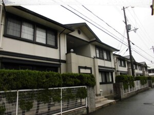 フレマリール21