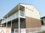 ニューシティキビ