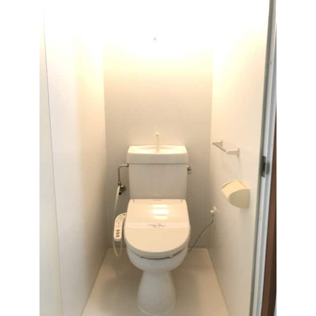 落ち着いた色調のトイレです ドミール江戸堀