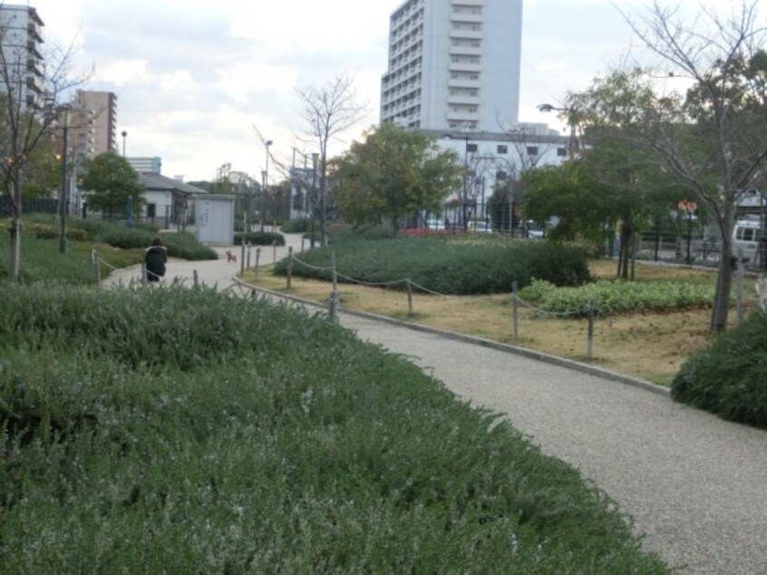 浪速公園（公園）まで752m 大阪メトロ御堂筋線/なんば駅 徒歩10分 8階 築21年