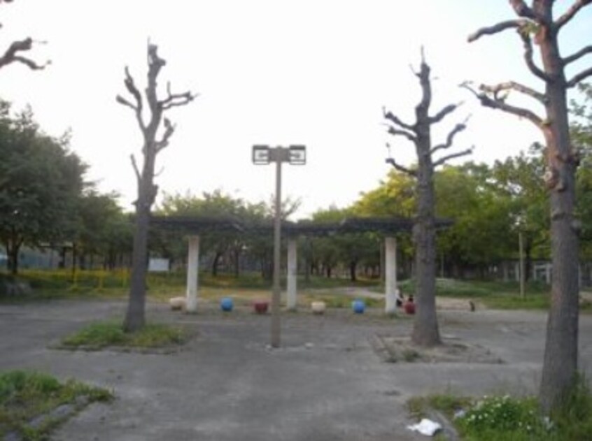 芦原公園（公園）まで578m 大阪メトロ千日前線/桜川駅 徒歩5分 12階 築4年