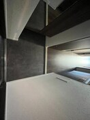  阪神なんば線/桜川駅 徒歩2分 10階 築1年