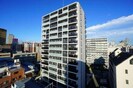 阪神なんば線/桜川駅 徒歩6分 2階 築3年の外観