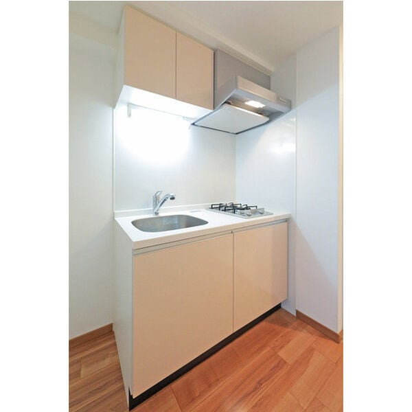  リッツ難波南Ⅱ