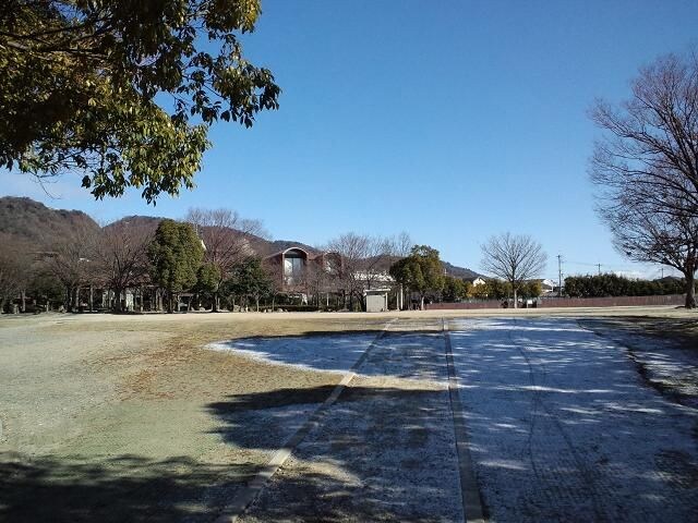 芦原公園（公園）まで906m 大阪メトロ千日前線/桜川駅 徒歩3分 3階 築46年