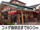 コメダ珈琲店(その他飲食（ファミレスなど）)まで800m ソレイユメゾン