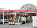 ナンバ倉敷店(電気量販店/ホームセンター)まで1246m フラット西中新田