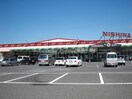 セブンイレブン　連島鶴新田店(コンビニ)まで550m スペランツァⅡ