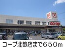 ツタヤ水島店(ビデオ/DVD)まで450m ノール　サンクチュエールＢ