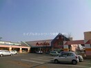 山陽マルナカ中島店(スーパー)まで803m プラトン日和屋　B
