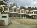 倉敷市立長尾幼稚園(幼稚園/保育園)まで702m ノース・ヴィレッジ