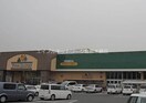 ニシナフードバスケット児島柳田店(スーパー)まで906m クレストⅠ