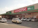 生鮮壱番館エブリイ倉敷林店(スーパー)まで800m サンガーデン