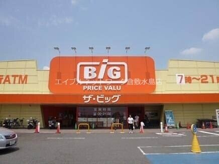 ザ・ビッグ連島店(電気量販店/ホームセンター)まで1580m ソレアード