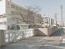 倉敷市立水島中学校(中学校/中等教育学校)まで974m シャトレ・ウエストB