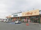 ハピーズ玉島店(スーパー)まで1245m ファミール岡本Ⅲ－Ｄ