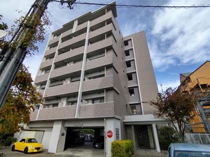 トミール・コート