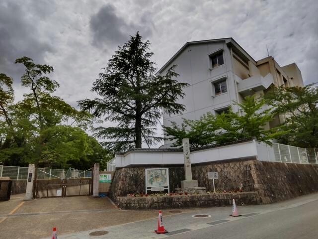 三田市立三田小学校(小学校)まで953m メゾン三田赤坂