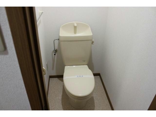  サンカルティエ