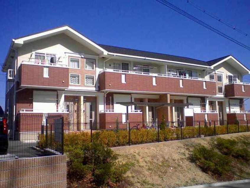  ハミングバード