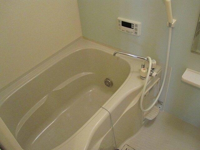  ハミングバード