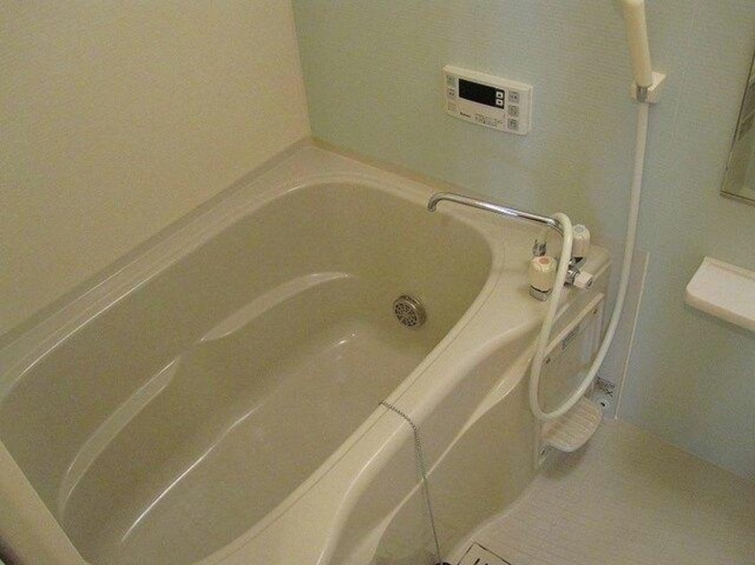  ハミングバード