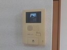  ハミングバード