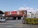 ロイヤルホームセンター北神戸(電気量販店/ホームセンター)まで827m ブランミュール