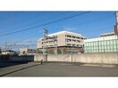 医療法人社団六心会恒生病院(病院)まで259m ブランミュール