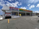 ジャパン三田本町店(ディスカウントショップ)まで435m RハイツⅢ