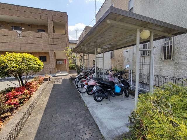  ベリーズガーデン