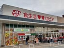 ロピア三田対中店(スーパー)まで734m ヴァンヴェール武鶴ハイム