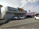 ワークマン三田店(ショッピングセンター/アウトレットモール)まで185m※ワークマン三田店 エビスアパートメント