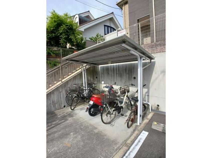  シェーネハイム鹿の子