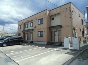 エバーグリーン