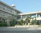 倉敷市立味野小学校(小学校)まで678m ハワイ・コナ