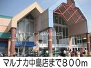 マルナカ中島店(スーパー)まで800m サンマリノ