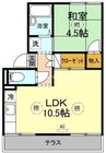 プレジール中野屋　B棟 1LDKの間取り