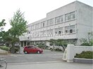 倉敷市立玉島小学校(小学校)まで318m パインツリーＦ