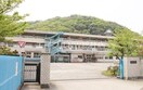 倉敷市立連島南小学校(小学校)まで869m ベルカーサＡ