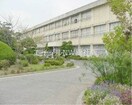 倉敷市立西阿知小学校(小学校)まで513m サンタウンコーラル　Ｃ棟