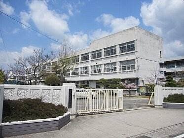 倉敷市立玉島小学校(小学校)まで321m コーポレザン